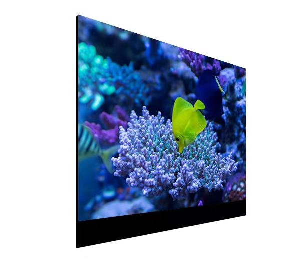 寰窛鑳屾姇鎶ょ溂鍗曞睆